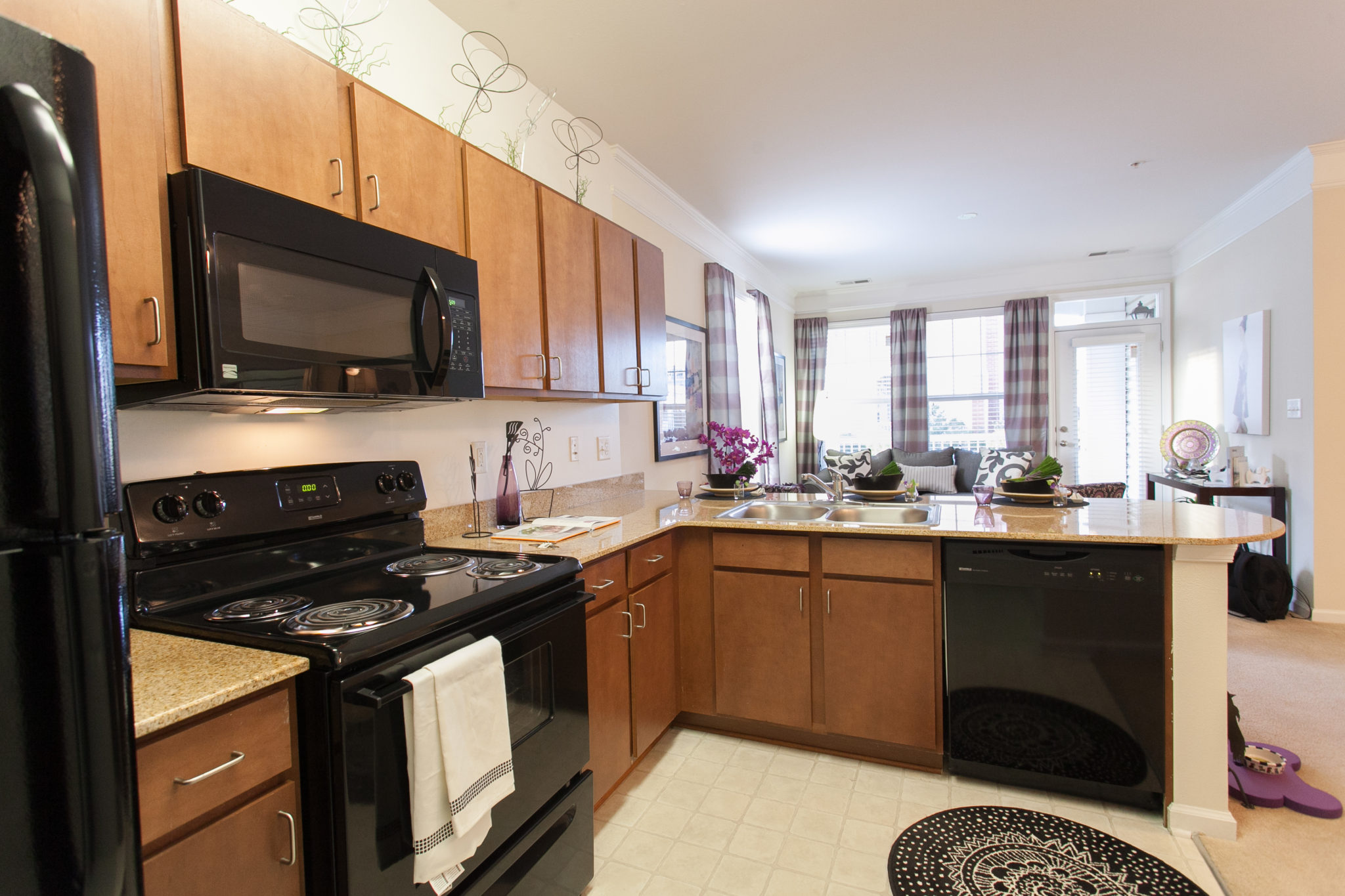 1200 Acqua Apartments, 1200 Harrison Creek Blvd, Petersburg, VA BECO